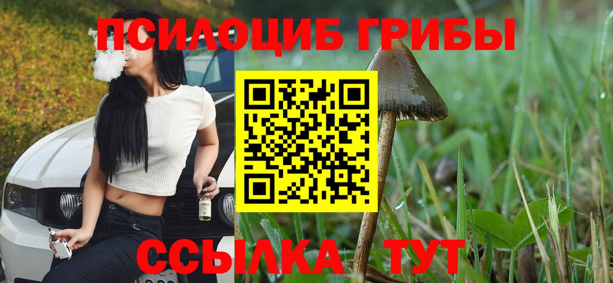 Галлюциногенные грибы GOLDEN TEACHER  Вход с VPN  Корсаков 