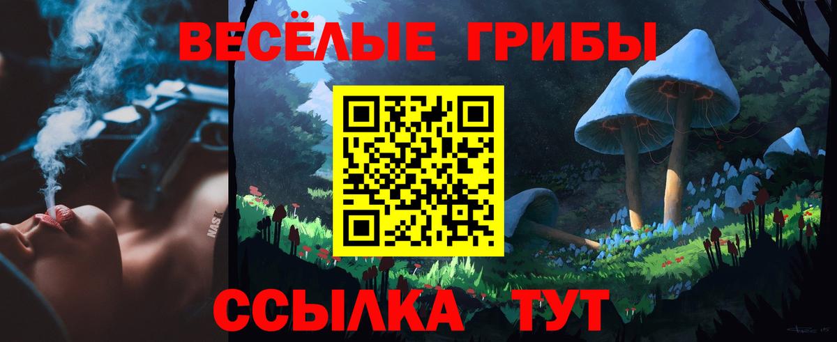 Галлюциногенные грибы мухоморы Корсаков